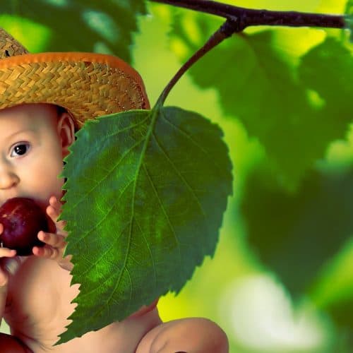 toddler eating apple under a tree