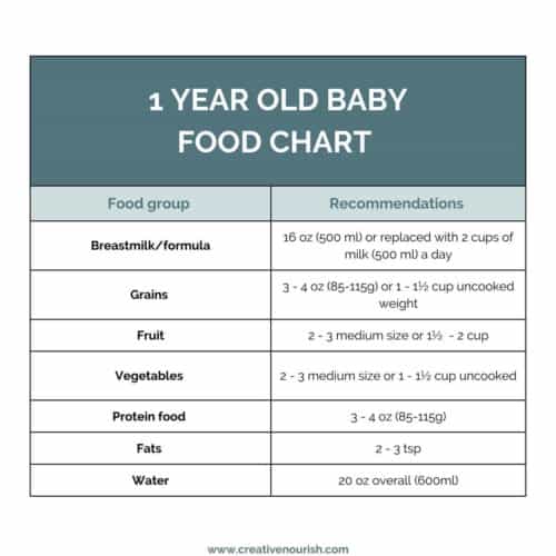 1 year old baby food chart