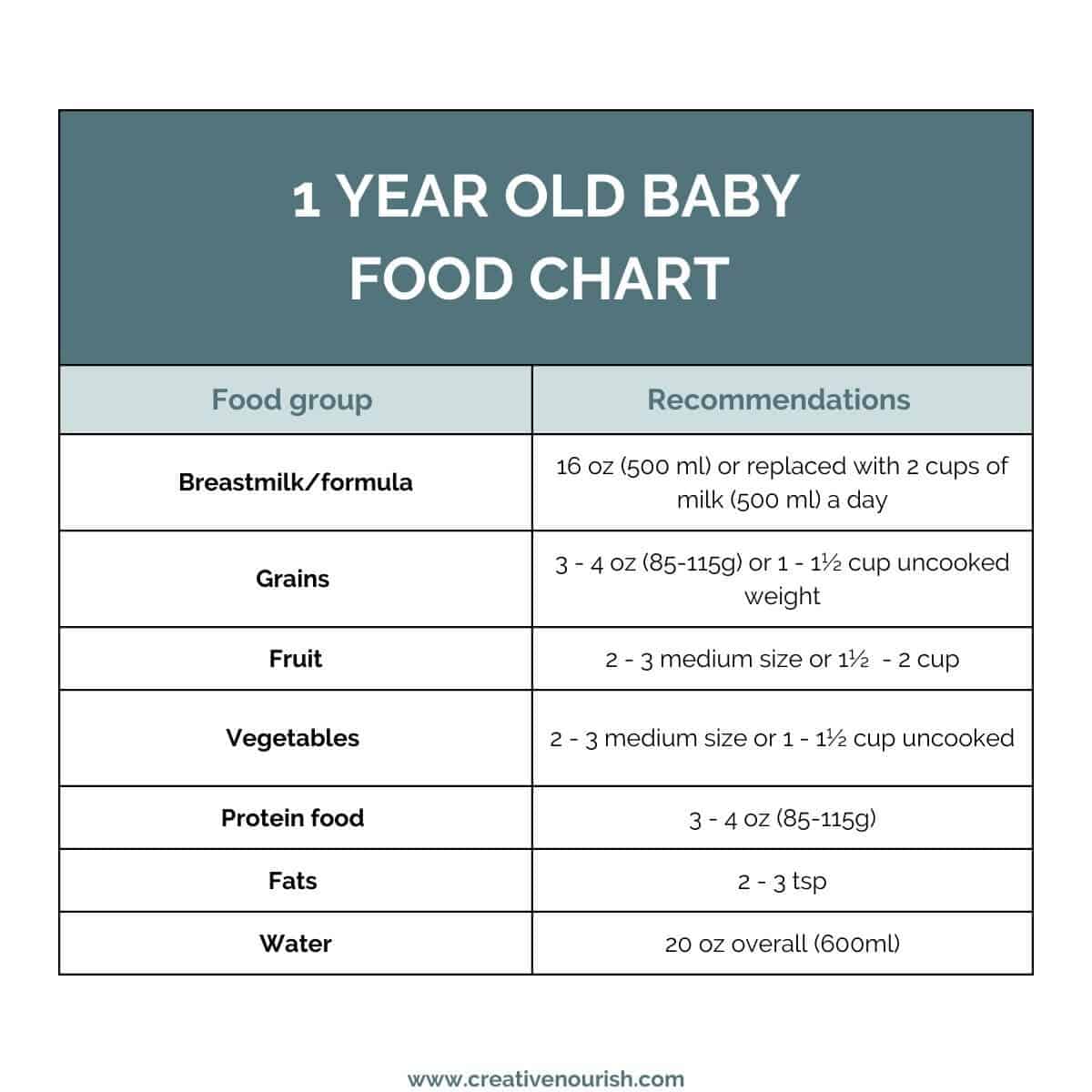 1 year old baby food chart