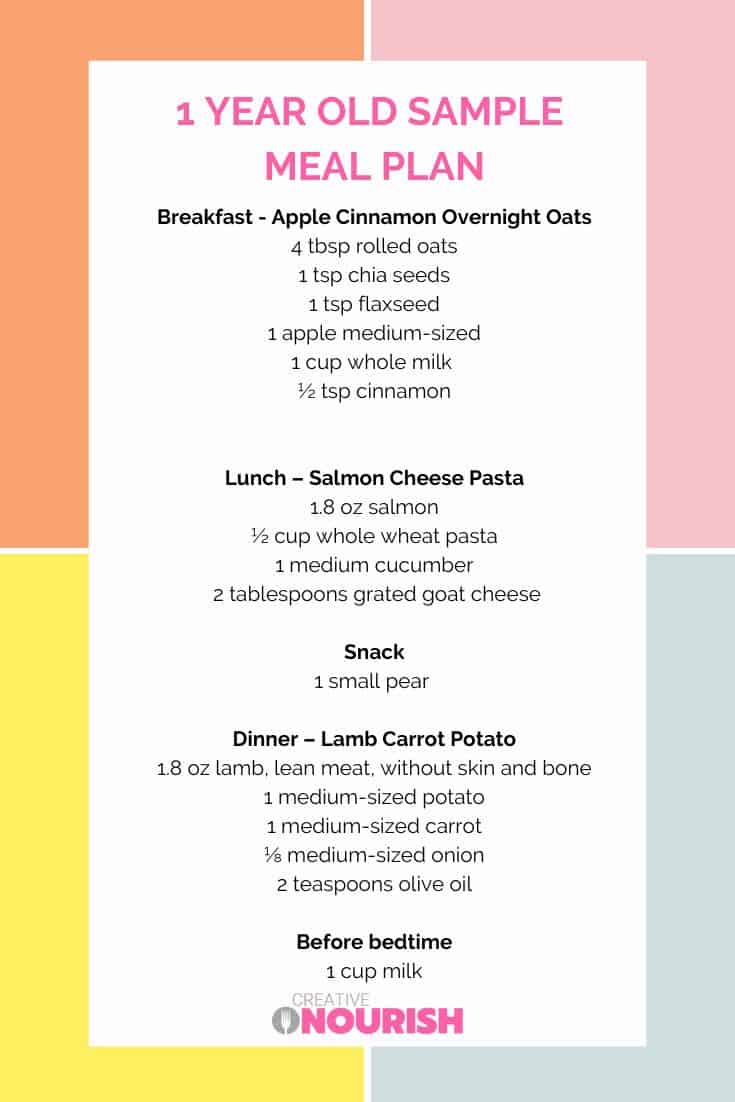 1 year old baby food menu for 1 day inforgraphic