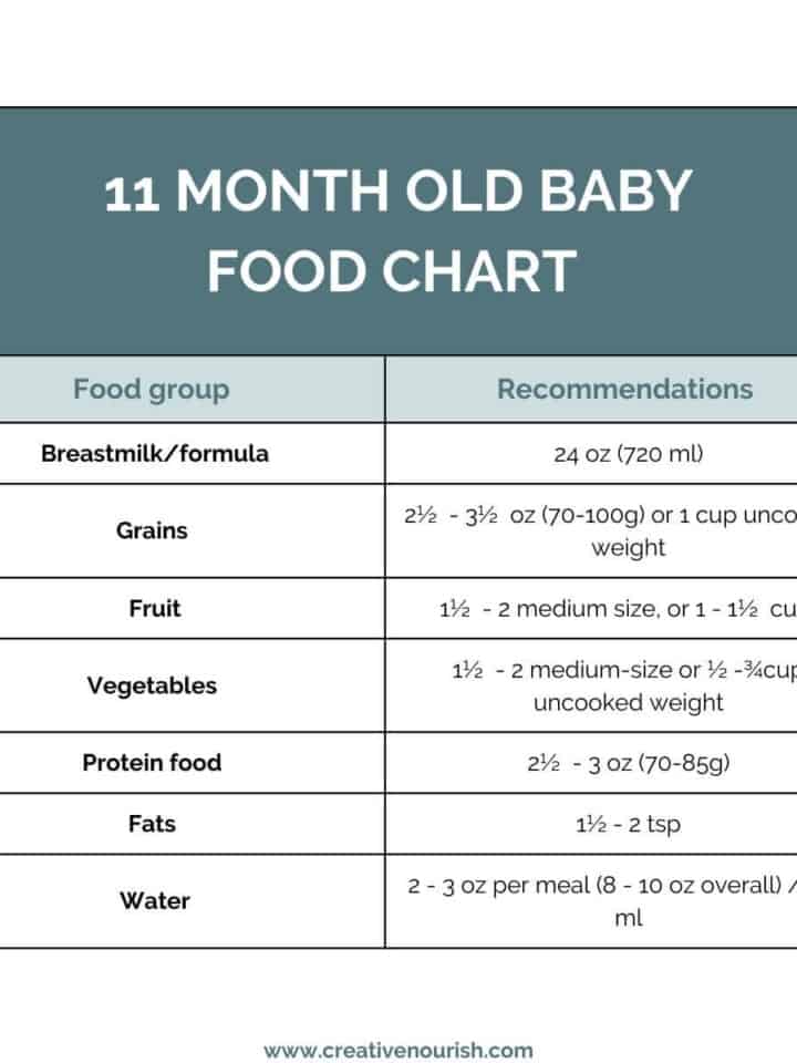 11 month old baby food chart