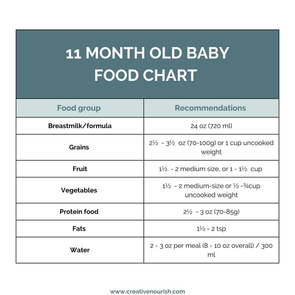 11 month old baby food chart