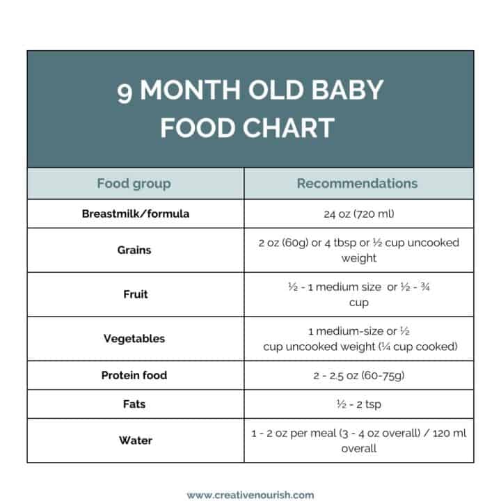 baby food chart 9 months old