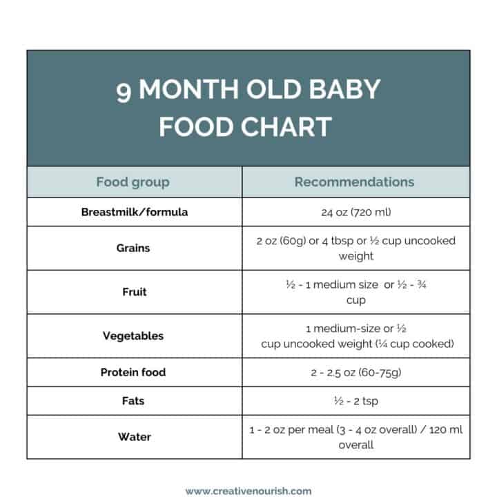 Newborn and Baby Feeding Schedule for 6-9 Months Old