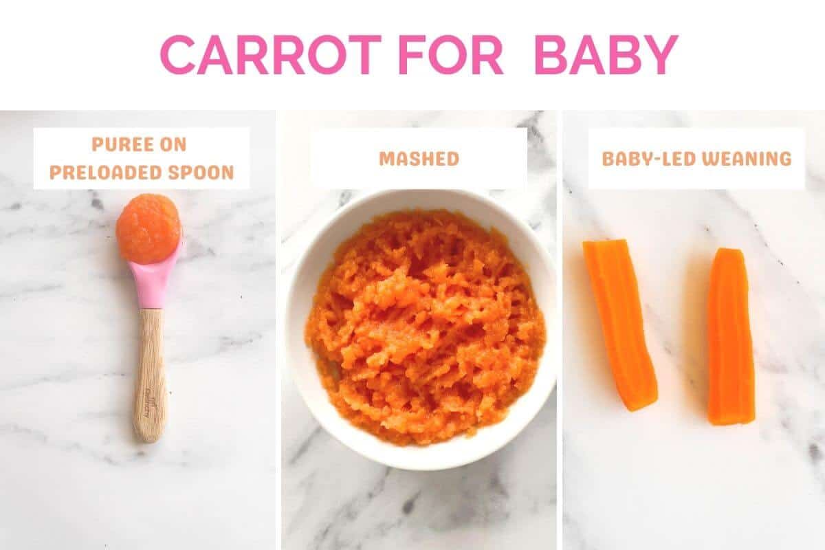 Carrot baby food options - puree, mashed, baby-led weaning