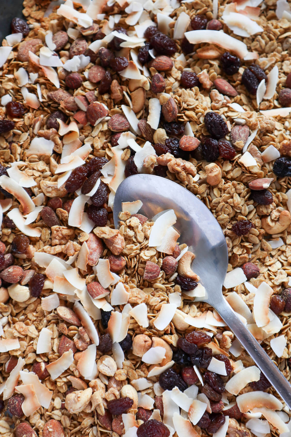 Zoomed in view of the granola topped with coconut and dry fruits and nuts.