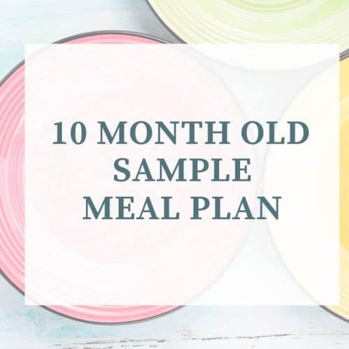 10 month old meal plan