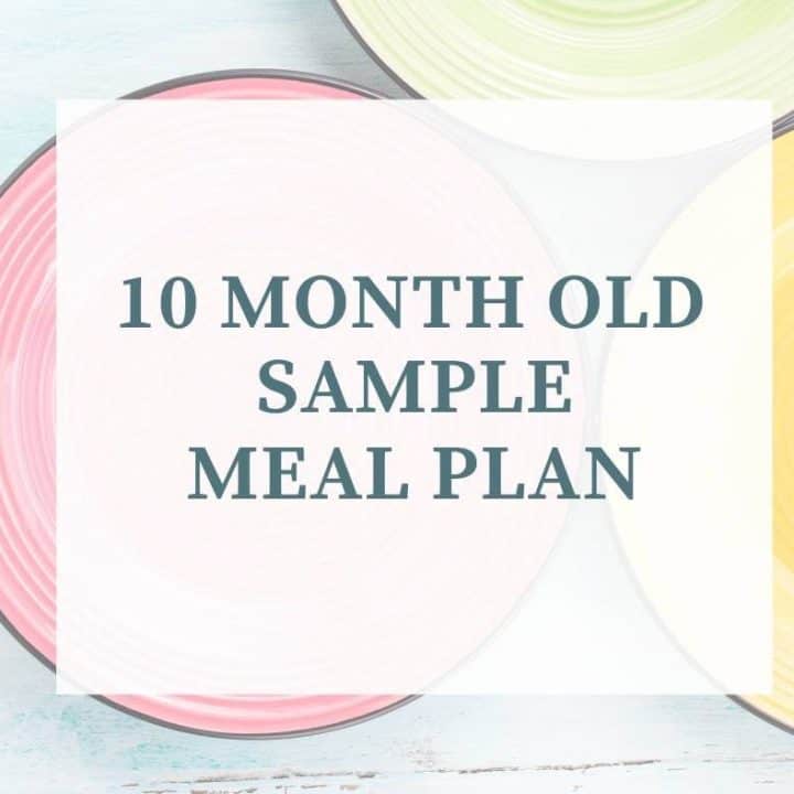 10 month old meal plan