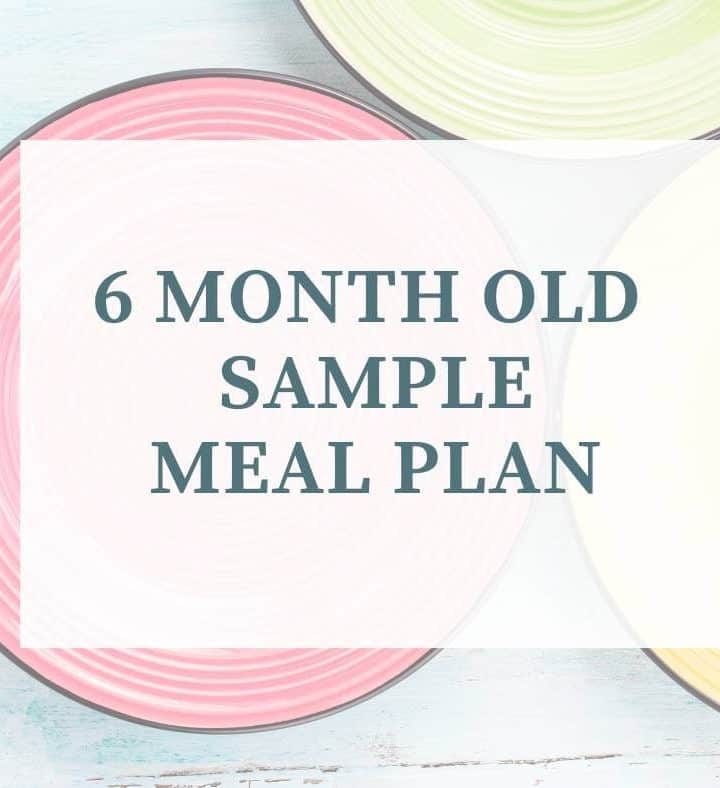 6 month old meal plan