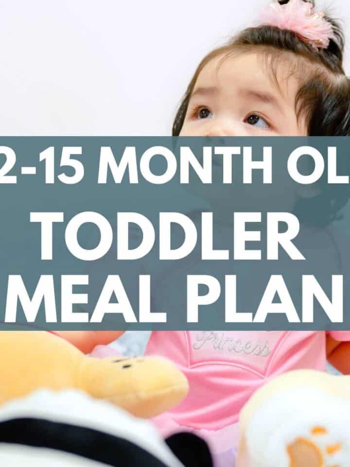12 - 15 month old toddler meal plan featured image