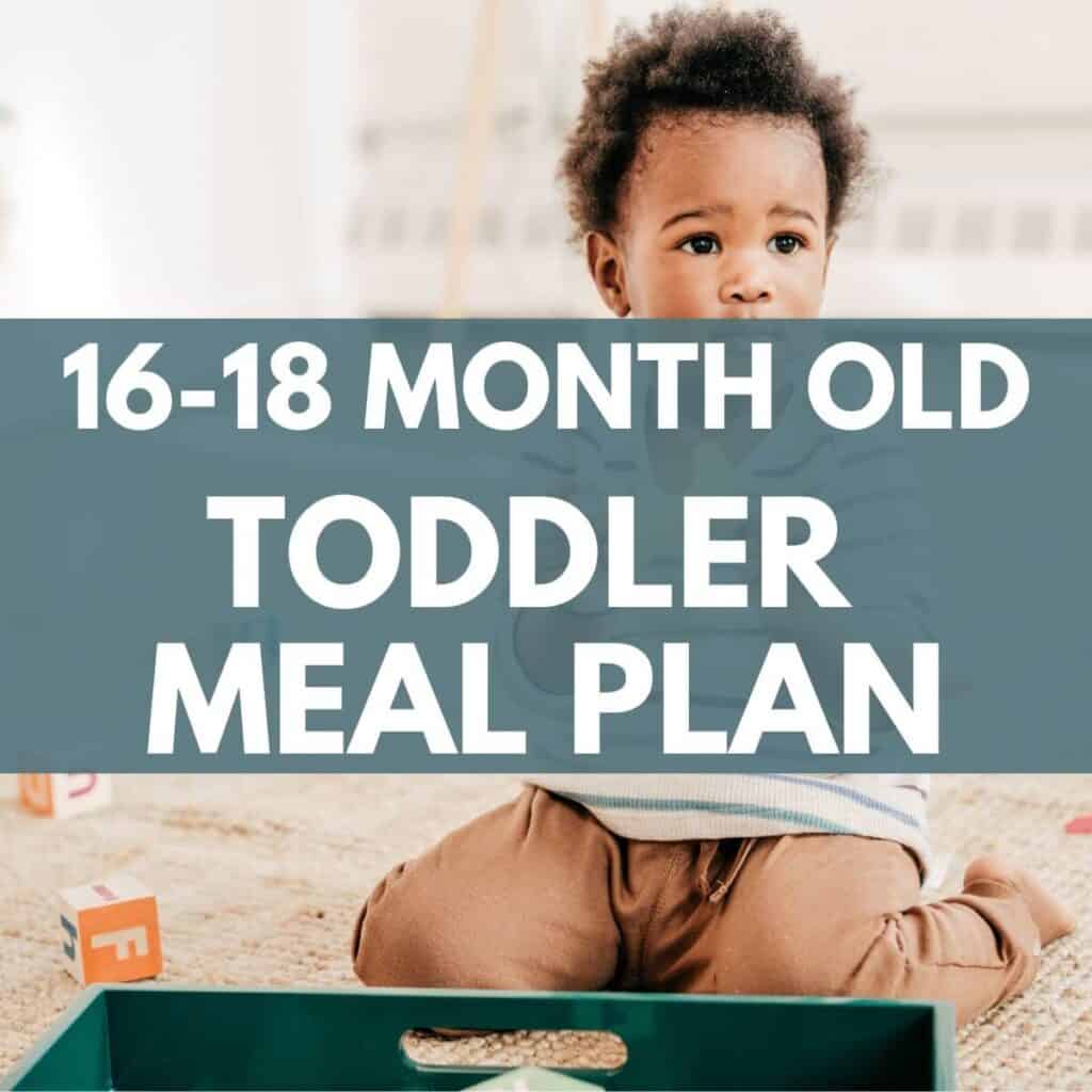 Toddler 16-18 Month Sample Meal Plan - Creative Nourish