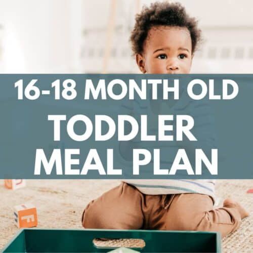 16-18 month old toddler meal plan