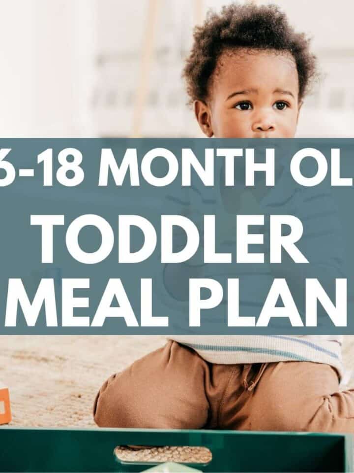 16-18 month old toddler meal plan