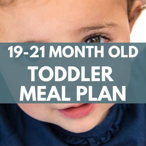 cover image with title for 19 - 21 month old toddler meal plan and toddler in background