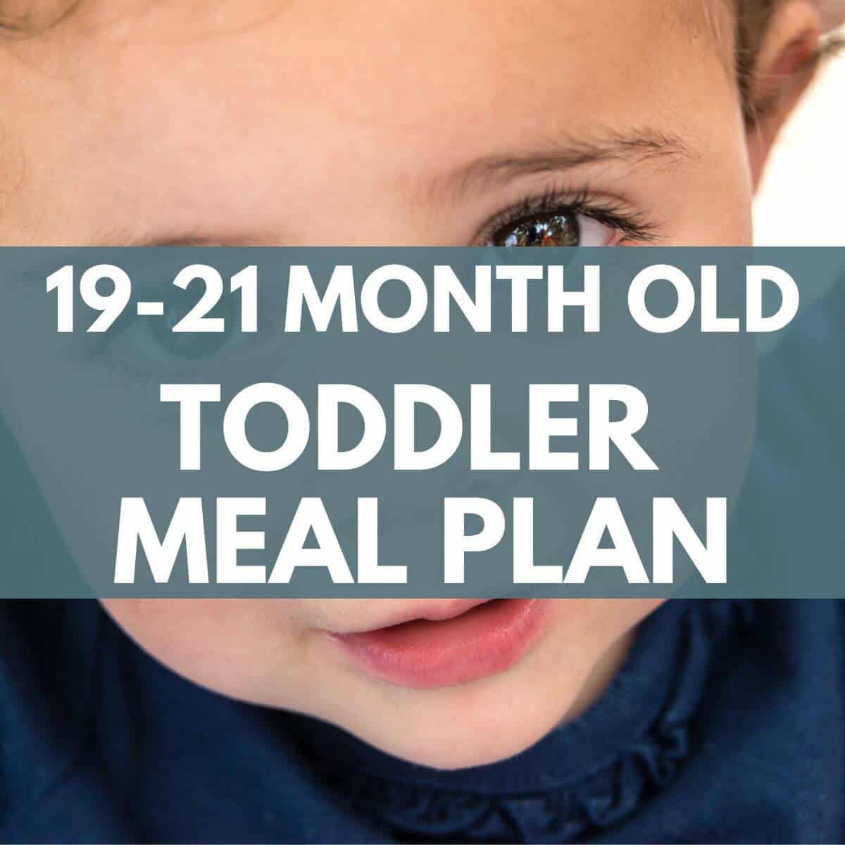 cover image with title for 19 - 21 month old toddler meal plan and toddler in background