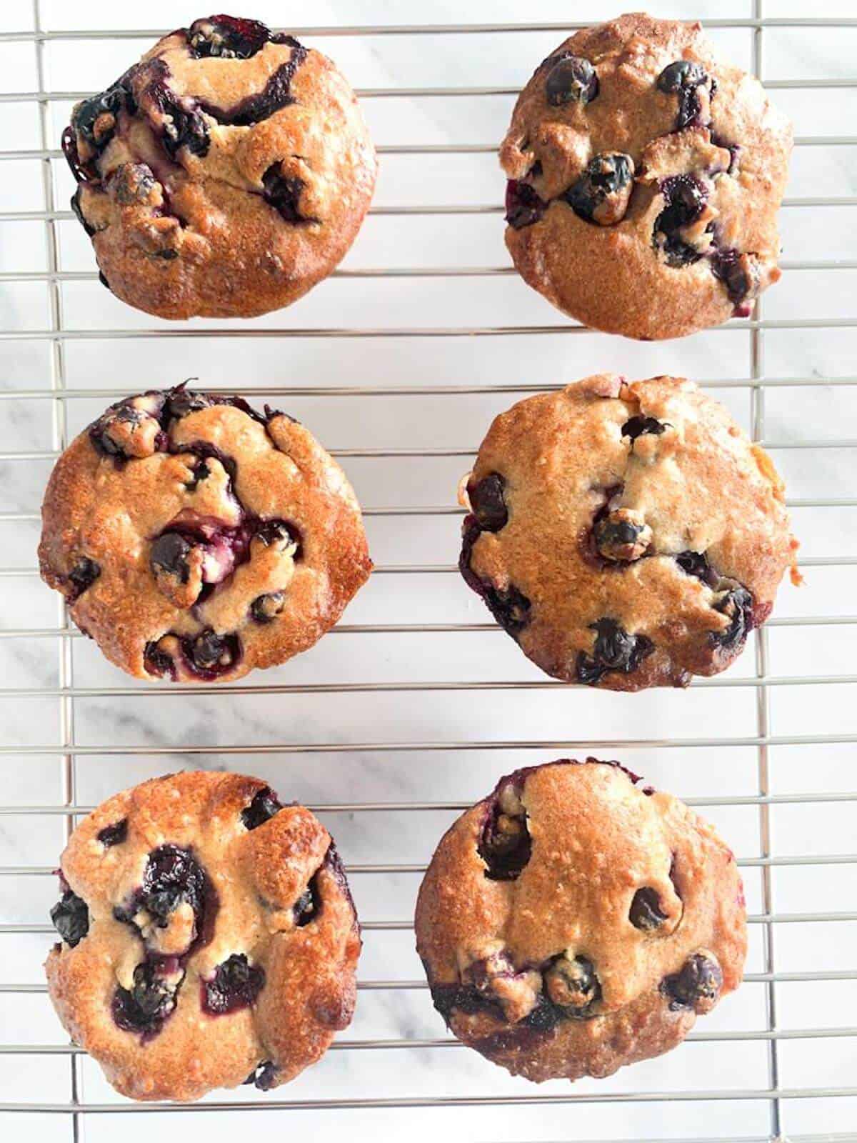 6 Apple Hazelnut Blueberry Muffins on a cookie sheet