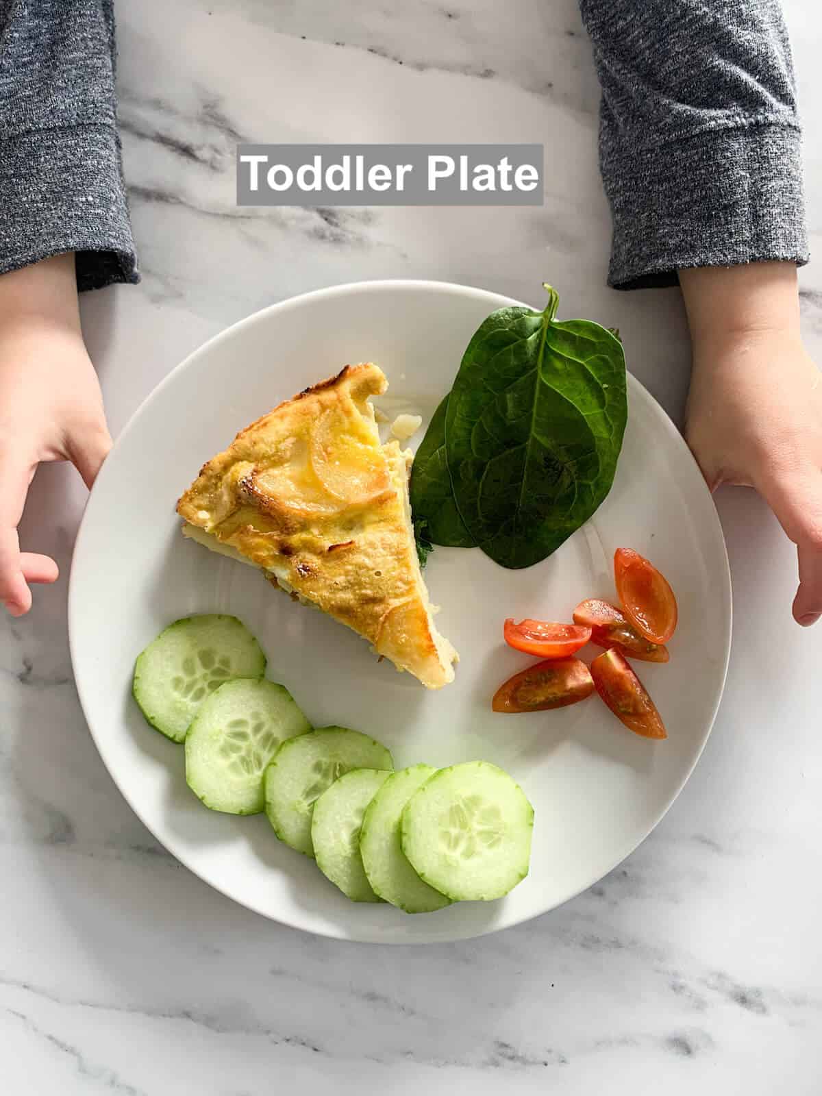 Toddler hands holding plate with the toddler serving 