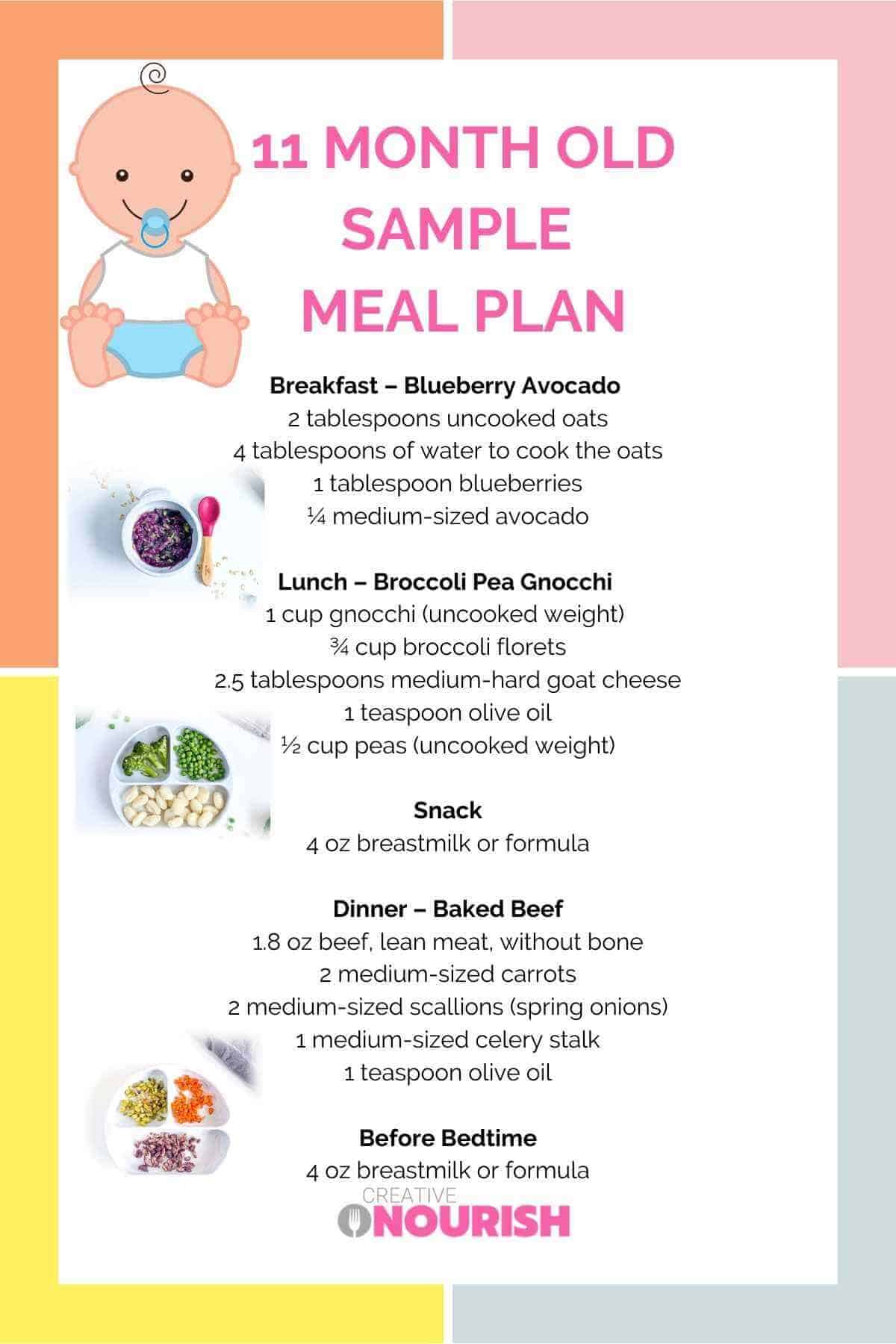 meal plan infographic 
