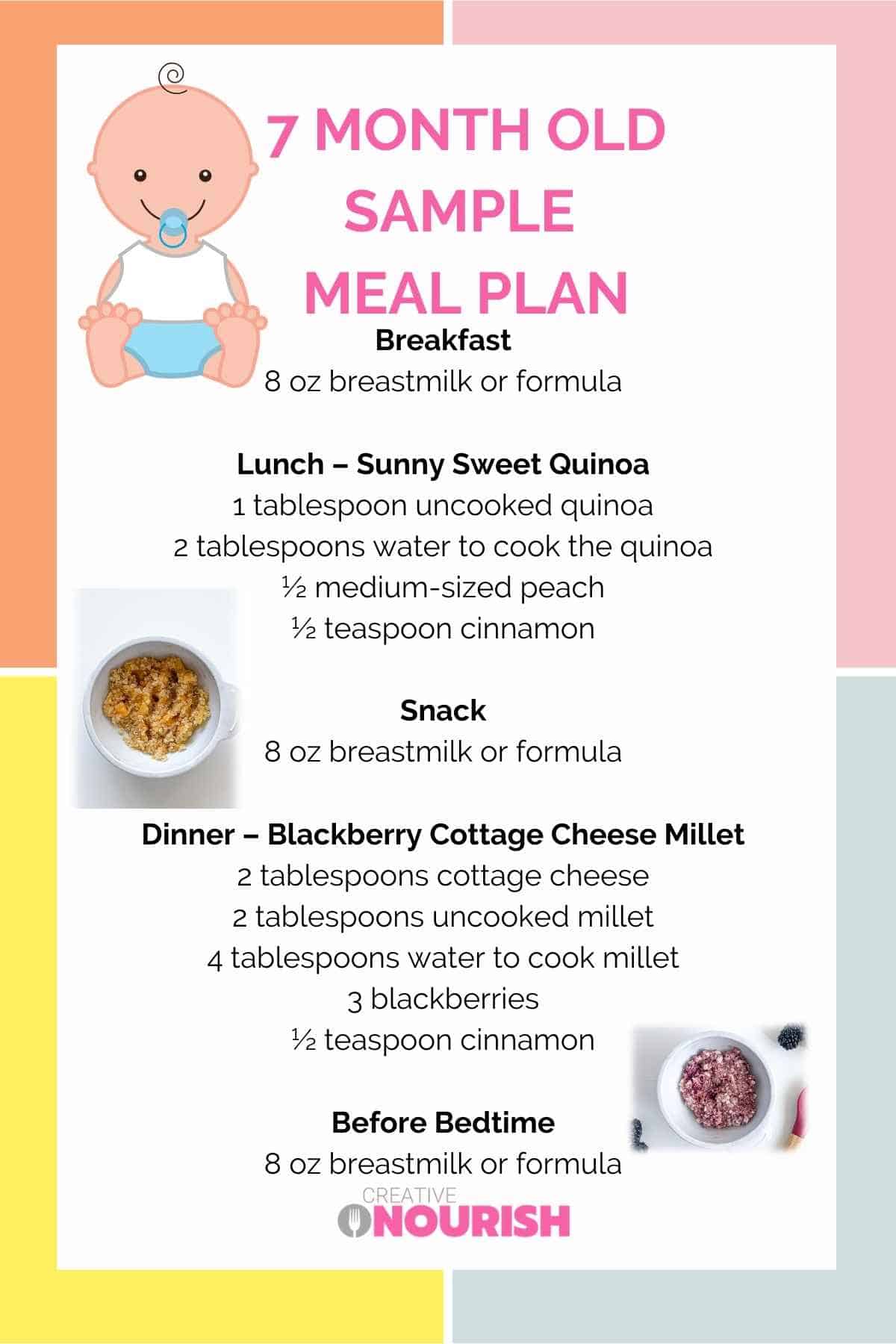 meal plan infographic 