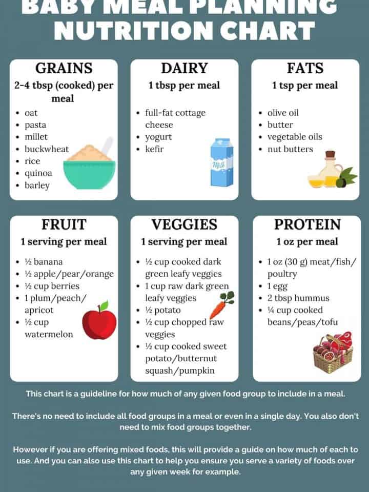 6 Month Old Meal Plan – Nutritionist Approved | Creative Nourish