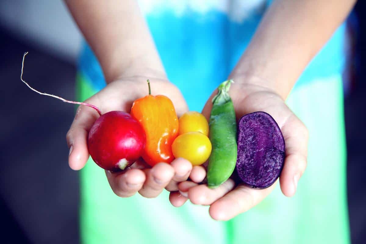 Hands holding small vegetables 