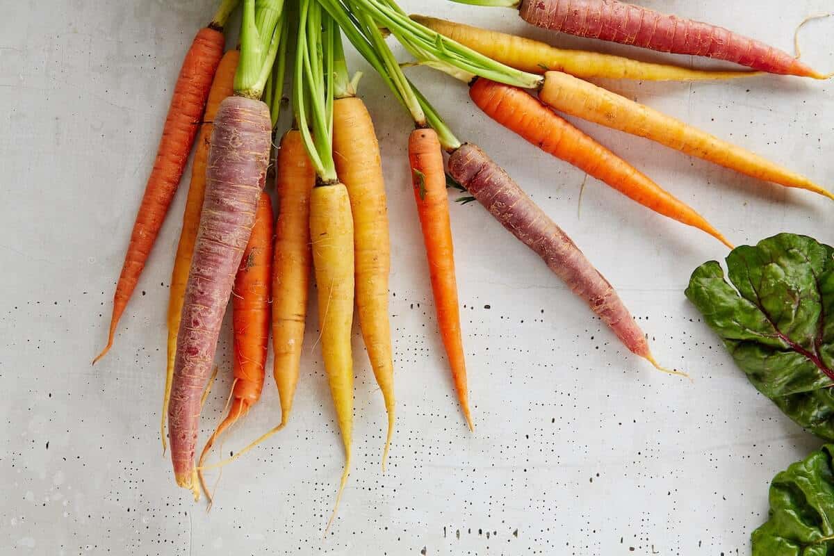 mixed colored carrots on white background