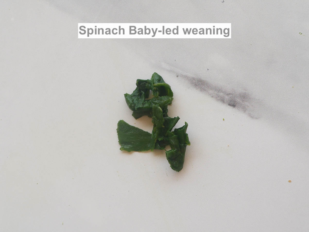 chopped up cooked spinach for baby-led weaning