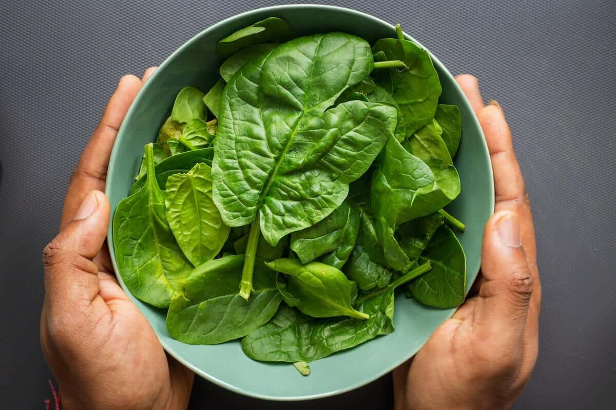 raw spinach in a bowl held by two hands on black background