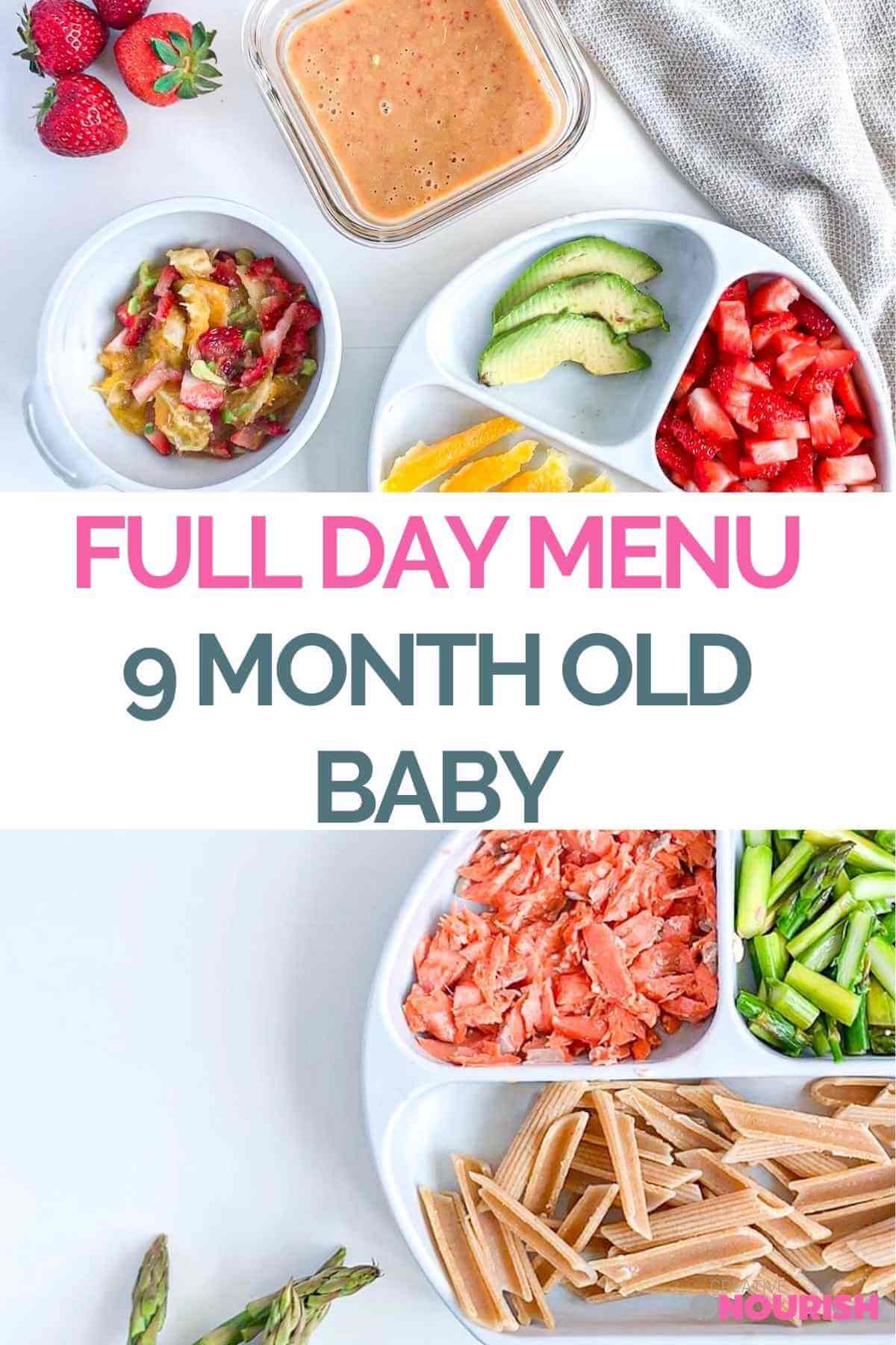 photos of the food included in the baby food menu for 9 month old 