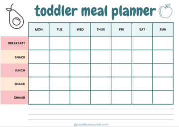 19-21 month old toddler baby food chart and meal plan
