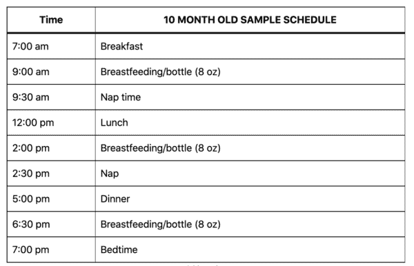 10 Months Old Baby Food & Diet Chart - Creative Nourish