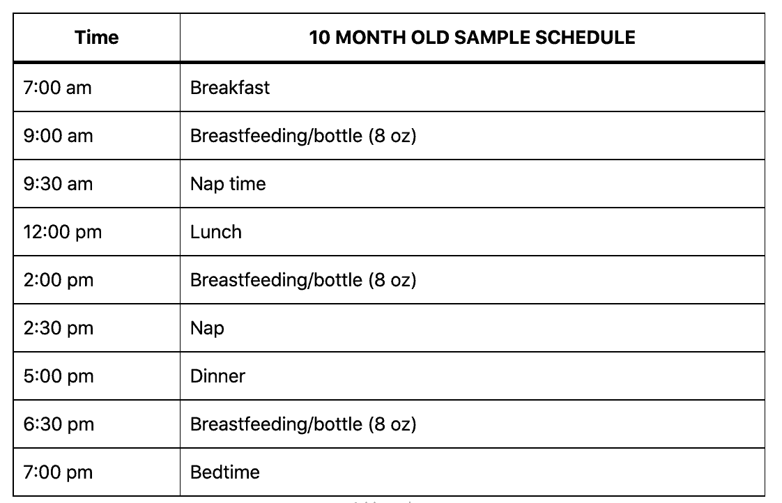 10 month old feeding schedule