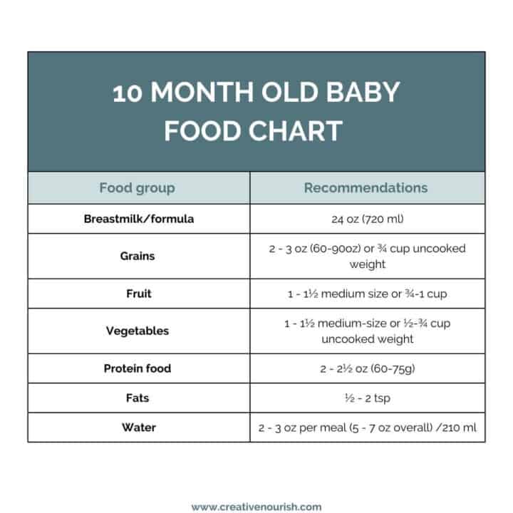 10 month old baby diet chart