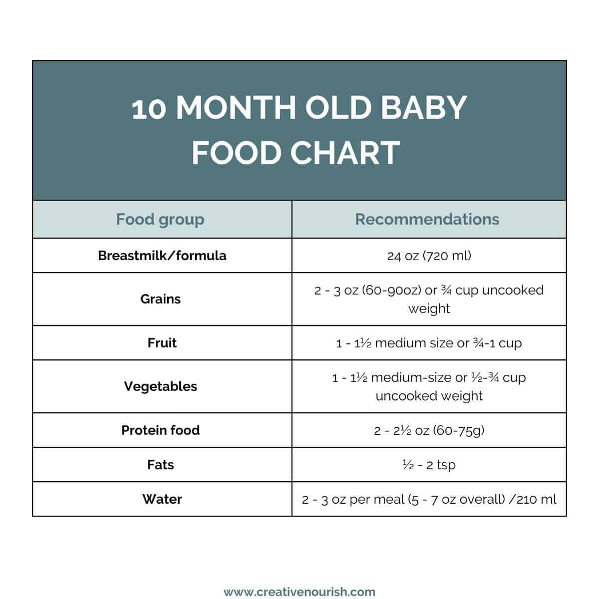 10 month old baby diet chart 