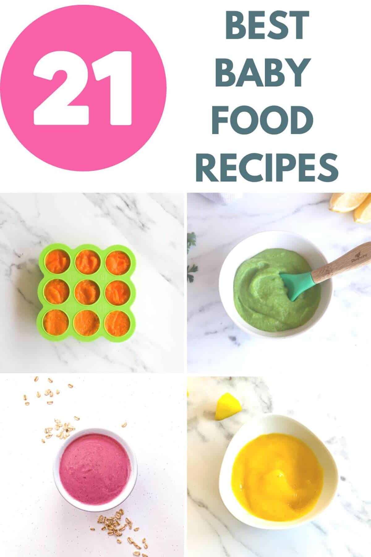 Homemade Baby Food Recipes Cookbook