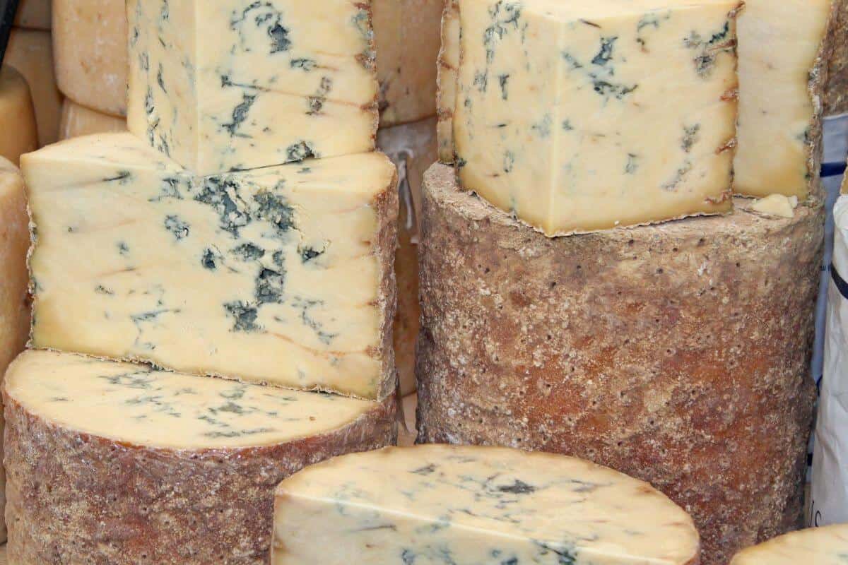 Stacks of edelpilz cheese, some cut into, showing the blue veins in the cheese