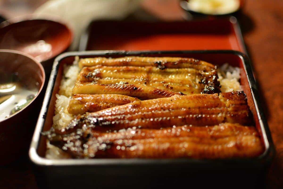 Grilled eel on a bed of rice