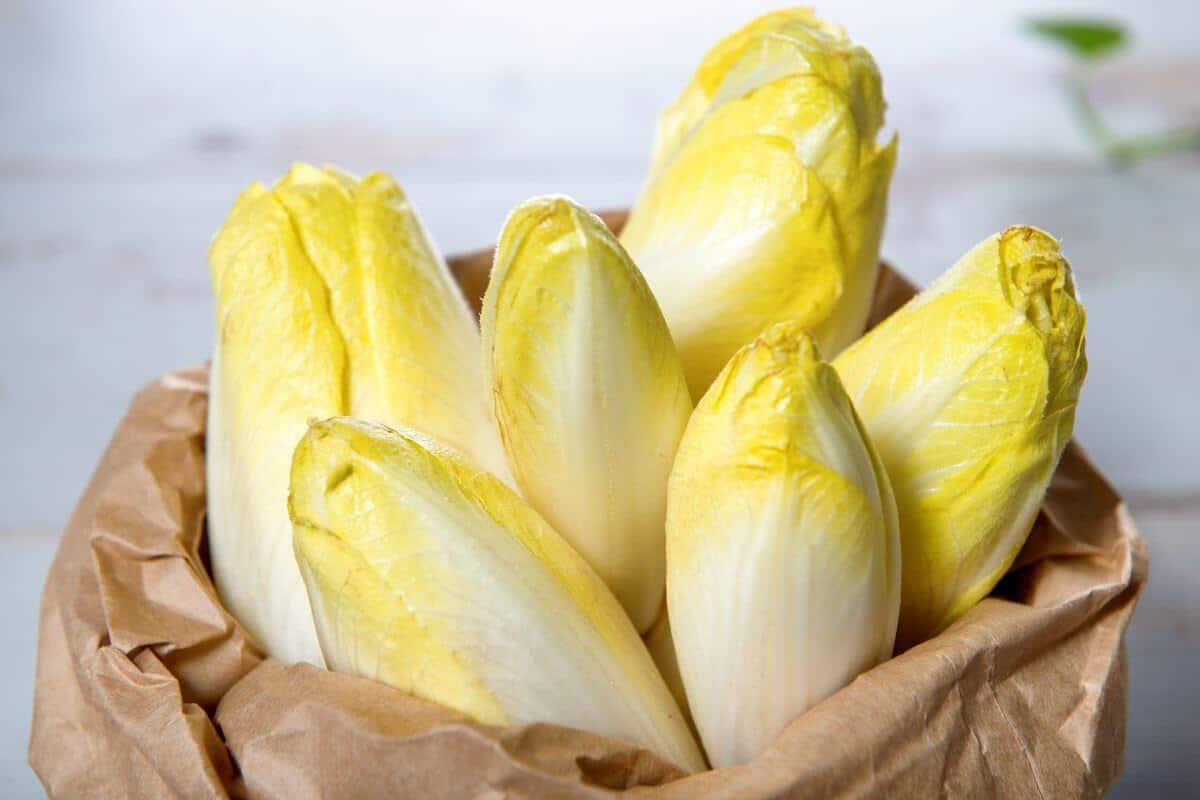 A brown paper bag filled with light yellow endive