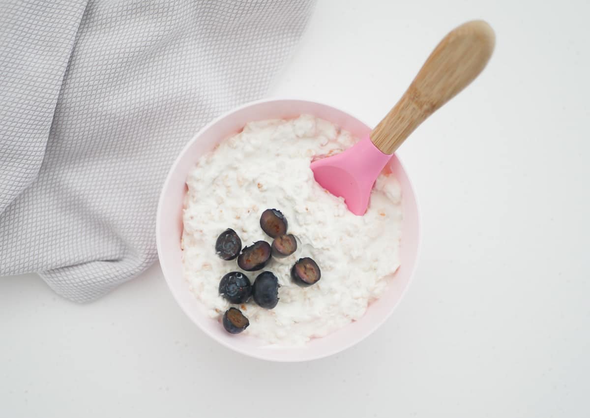 yogurt blueberry oatmeal in a bowl 