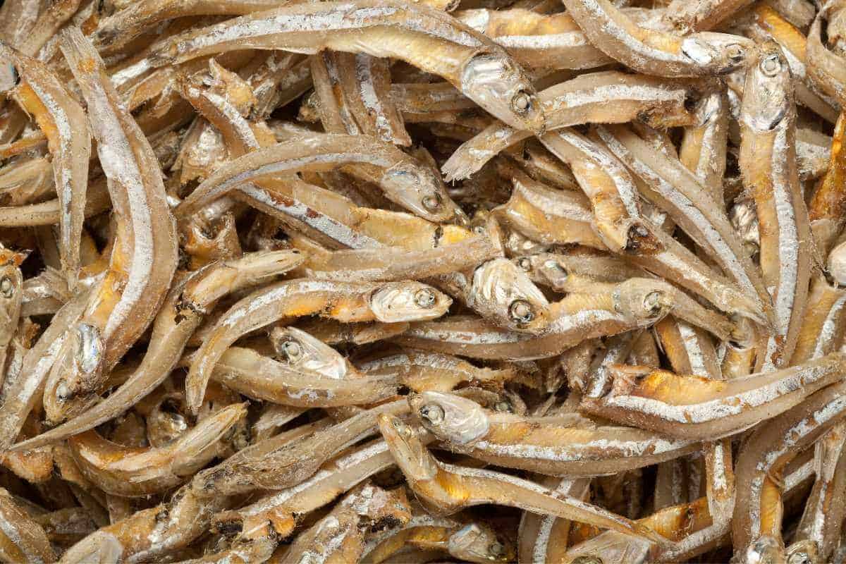 A pile of fried anchovies