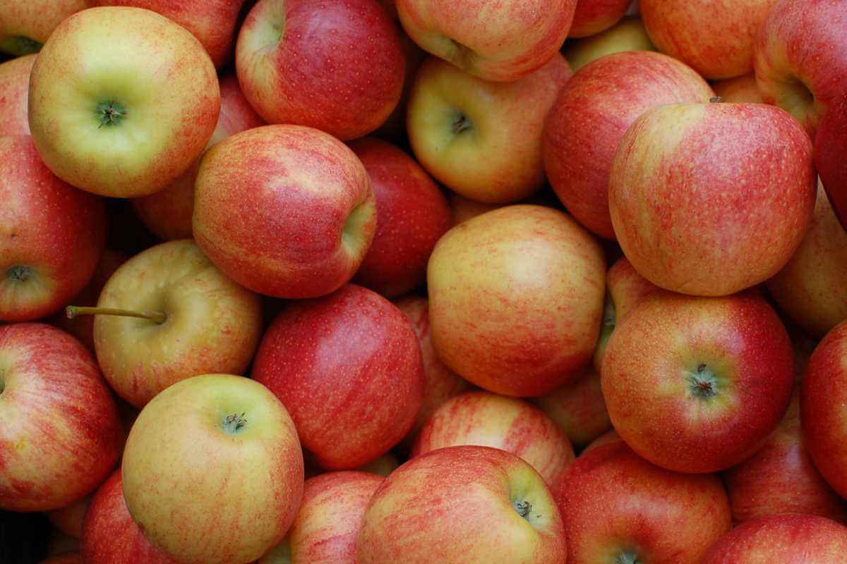 A bunch of pink lady apples, a food that starts with A