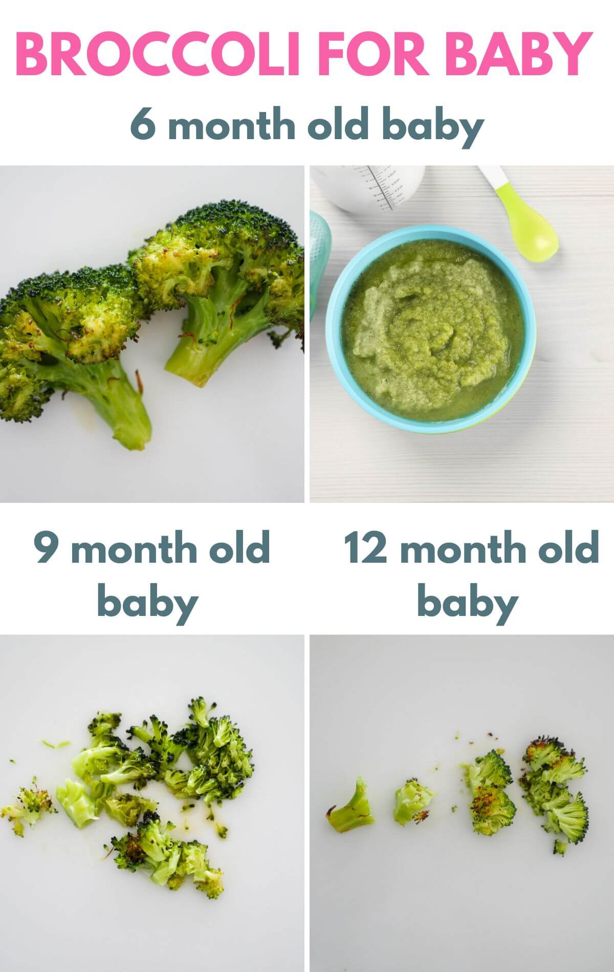title with 4 images showing different ways of serving broccoli for baby food