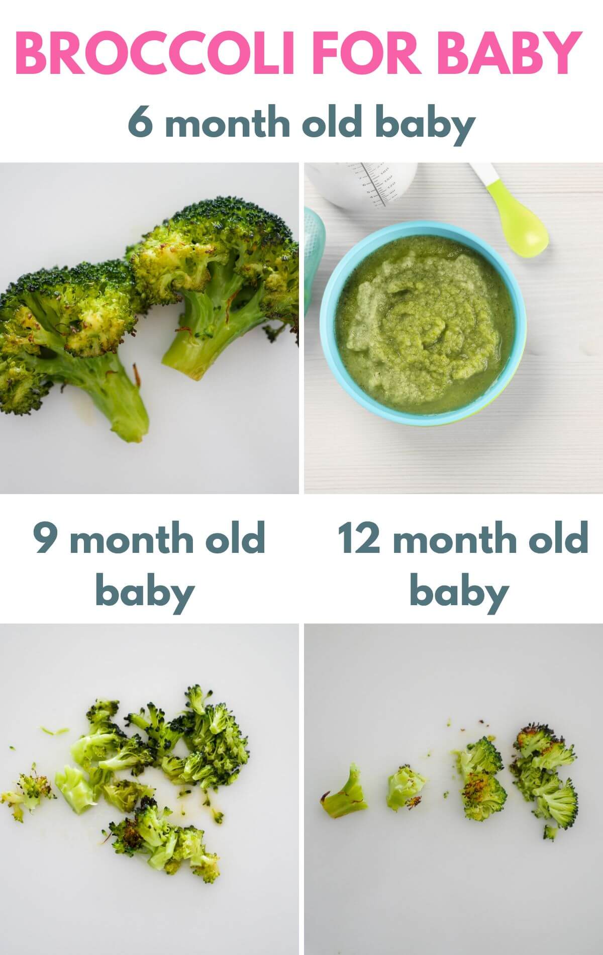 How We Meal Prep for Baby Led Weaning