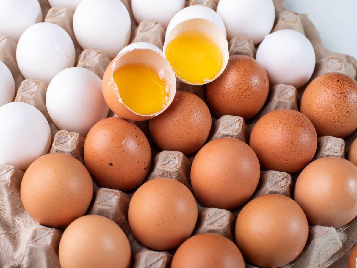 raw white and brown eggs on a egg tray