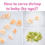 how to serve shrimp for baby collage of images with title