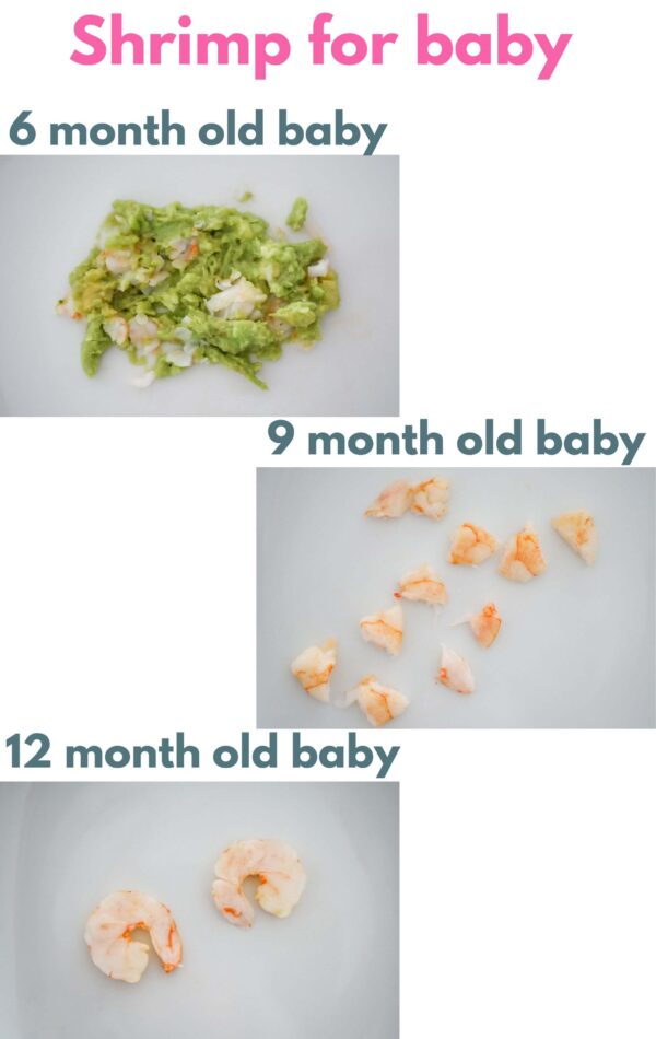 Pregnancy First Trimester Avoiding Shrimp Allergy Foods Reference: When And How Can Babies Eat Shrimp