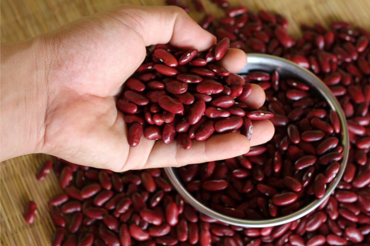 A pile of kidney beans, some in a bowl and a handful being held closer to the camera