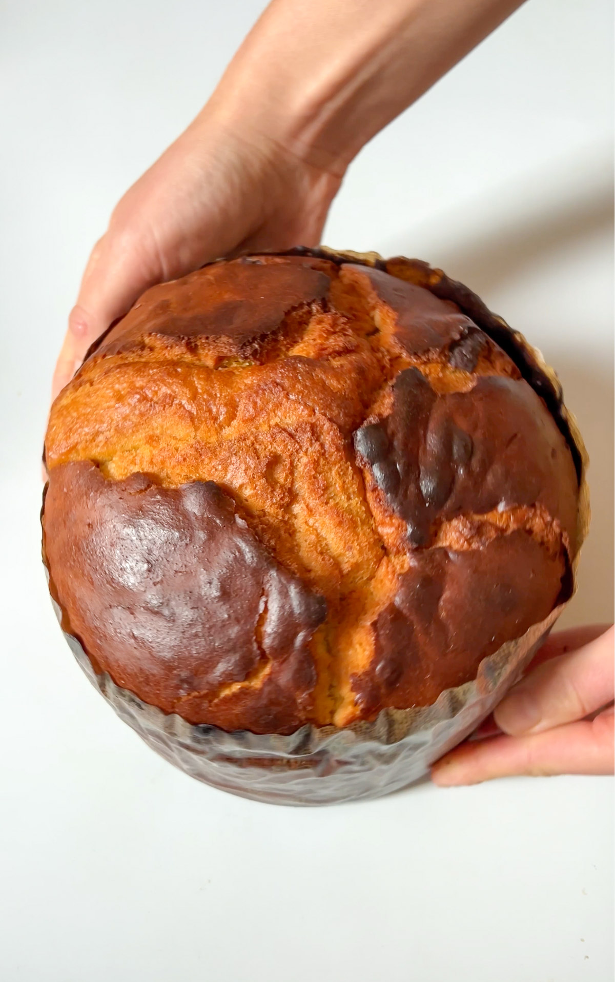 Hands holding the classic panettone.