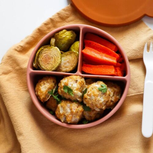 Chicken meatballs for baby in a baby plate with brussel sprouts and carrots.