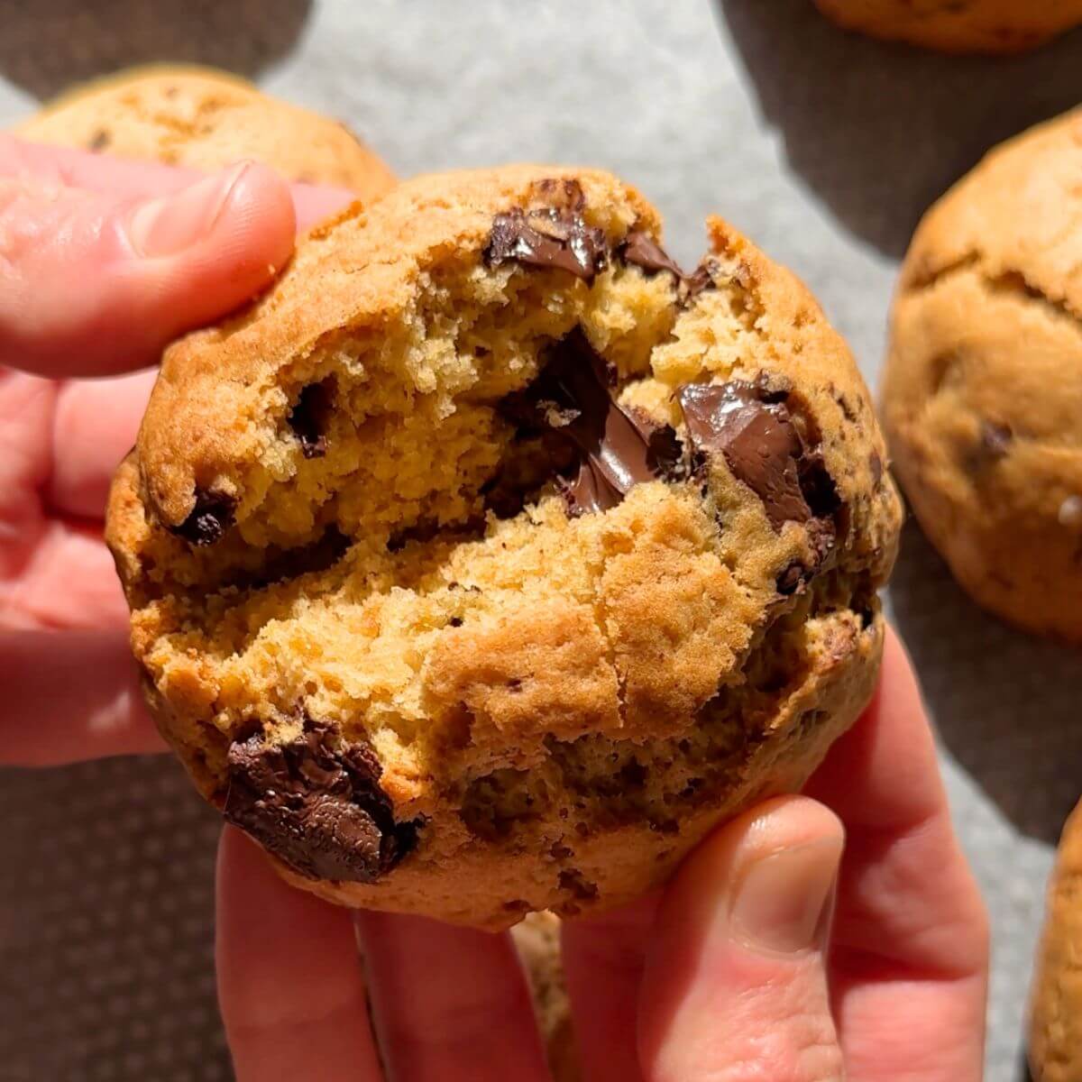 Hands halving cookies 